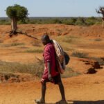 Cop17 aims to restore land and hope in fight against desertification