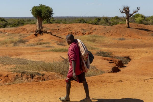 Cop17 aims to restore land and hope in fight against desertification