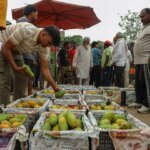 Why have several nations raised red flags over Indian farm exports? | Agriculture News