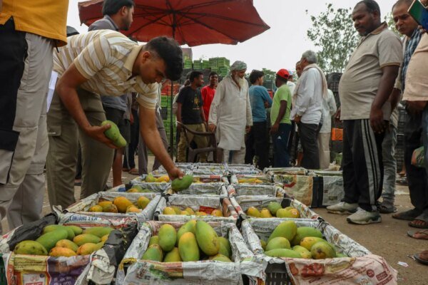 Why have several nations raised red flags over Indian farm exports? | Agriculture News