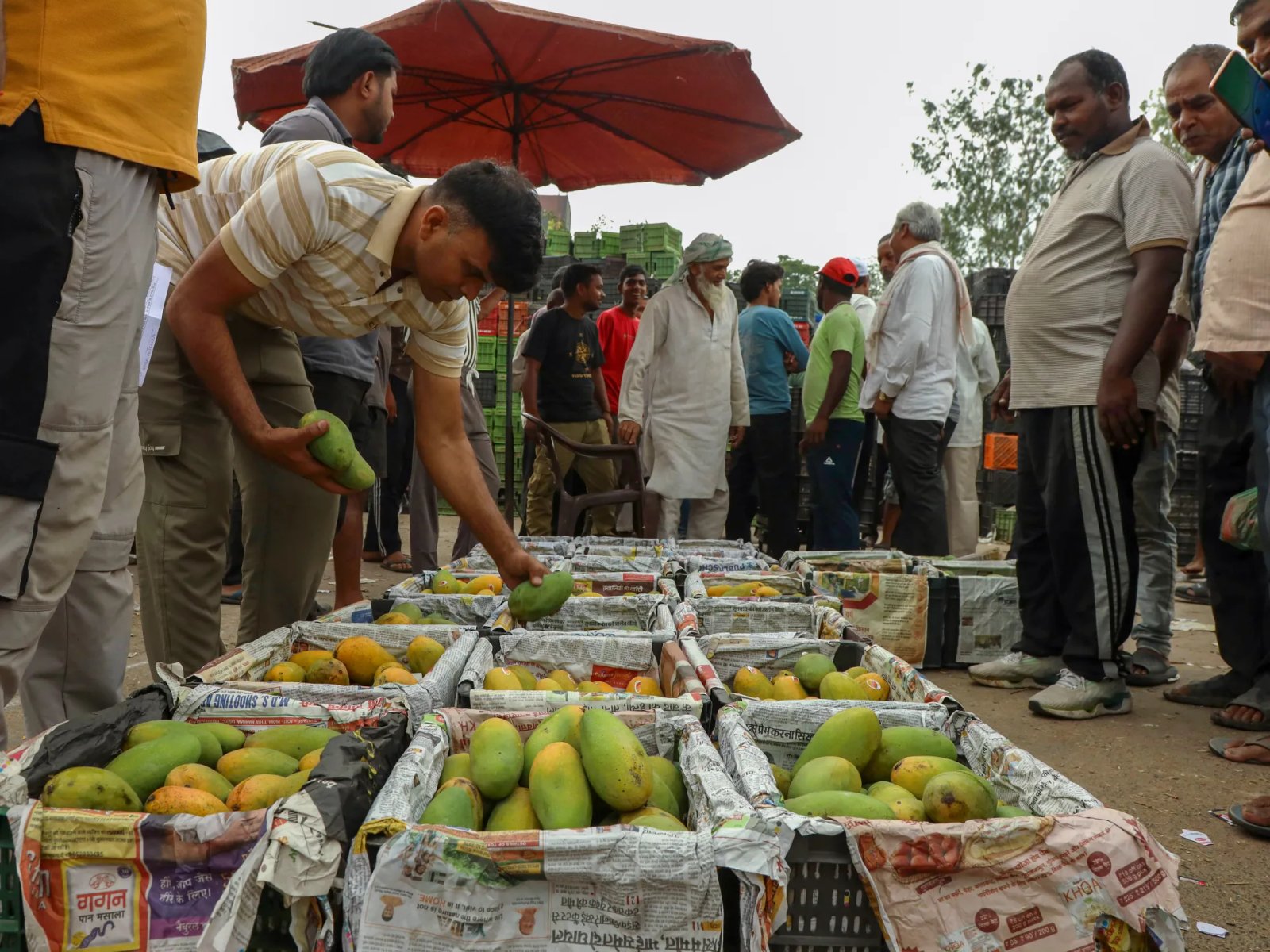 Why have several nations raised red flags over Indian farm exports? | Agriculture News