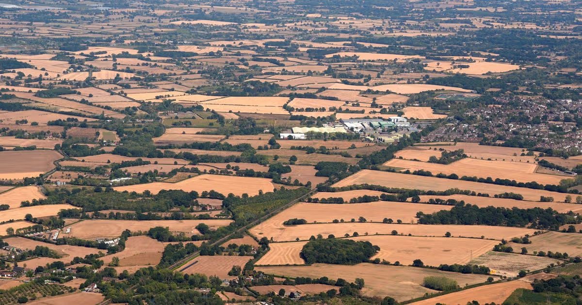 Met Office issues verdict on rain after record-breaking hot weather