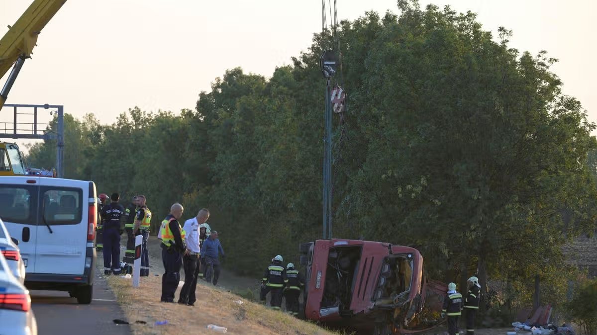 Bus crash sees 12 killed and several injured as vehicle overturns 'trapping passengers'