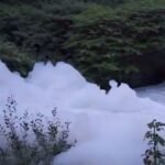 Bizarre 'foam iceberg' forms on Middleton river as Environment Agency called in