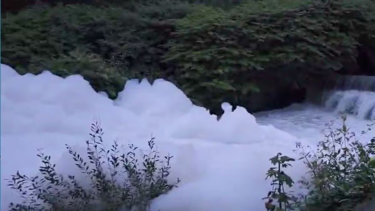 Bizarre 'foam iceberg' forms on Middleton river as Environment Agency called in