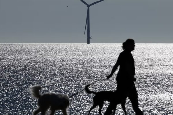 Environment Agency warning for dog owners amid Northumberland beach pollution investigation