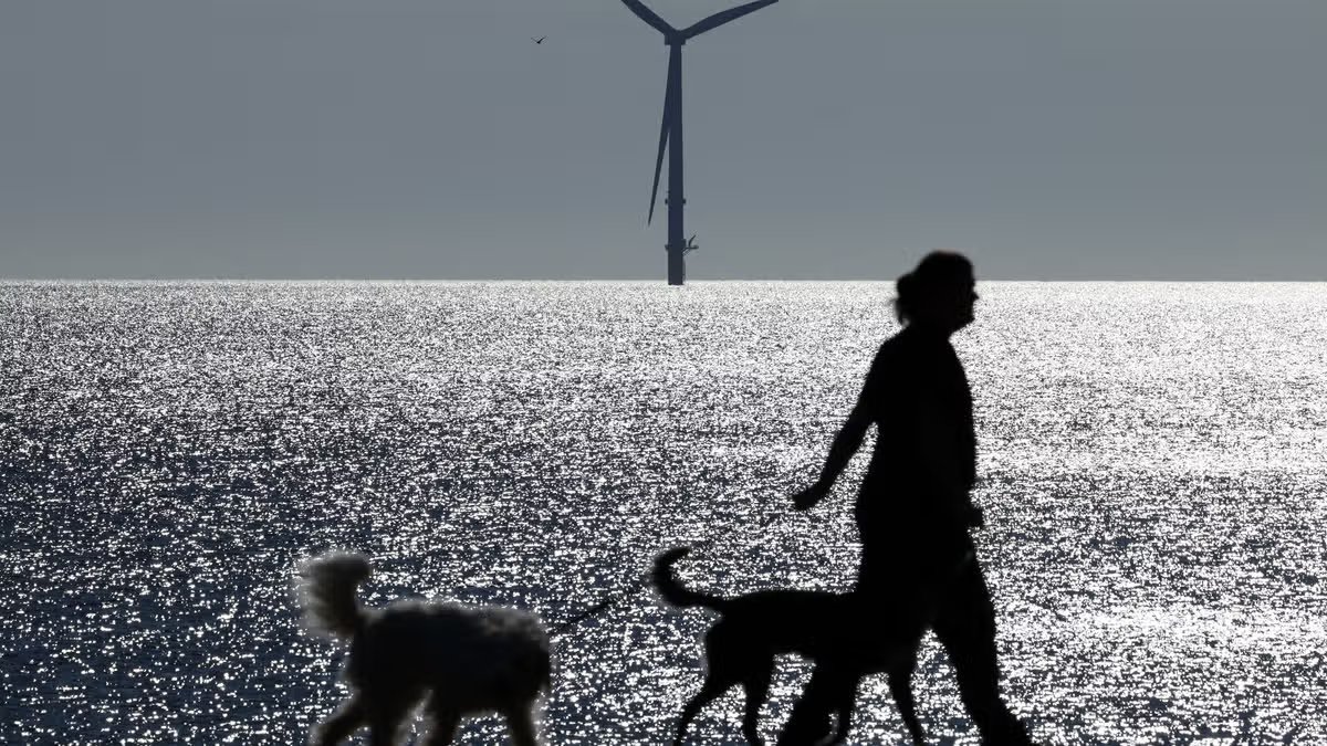 Environment Agency warning for dog owners amid Northumberland beach pollution investigation