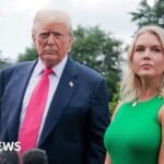 Who could potentially replace White House Press Secretary Karoline Leavitt?