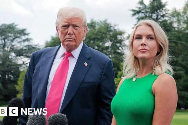 Who could potentially replace White House Press Secretary Karoline Leavitt?