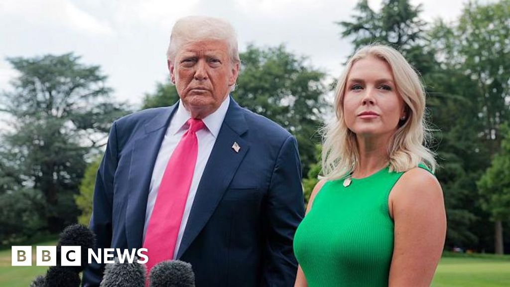 Who could potentially replace White House Press Secretary Karoline Leavitt?