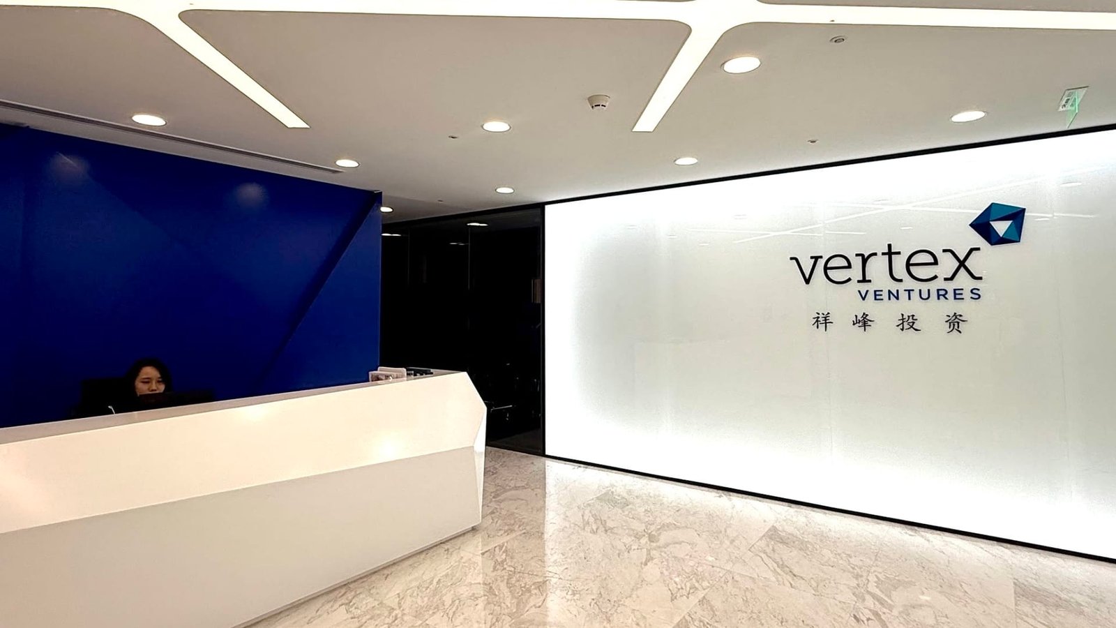 Temasek-backed VC firm sees Singapore as Chinese robots' path to U.S.