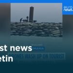 Video. Latest news bulletin | August 14th, 2026 – Morning