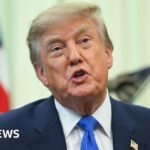 US says dozens of countries helped China dodge Trump's tariffs