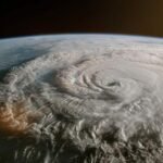 TNFD calls for stronger due diligence on environmental crime