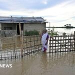 Assam: How a 97-year-old escaped deadly Indian floods on a banana raft