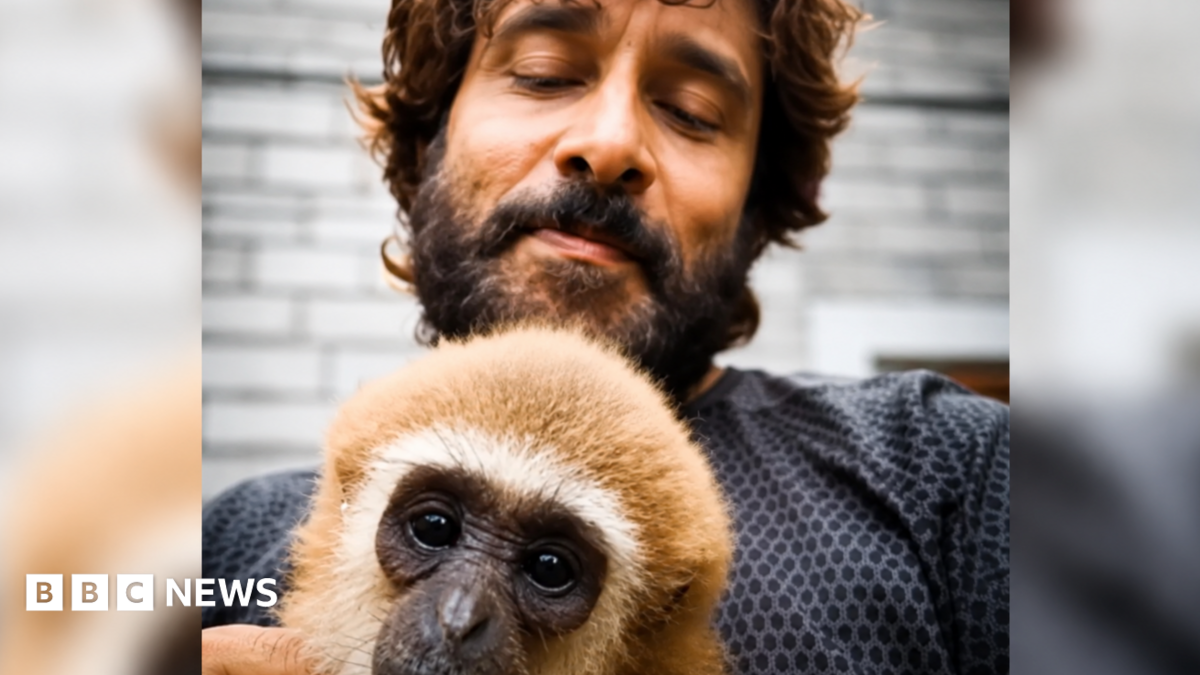 Vikram's viral video with lar gibbon sparks India wildlife investigation