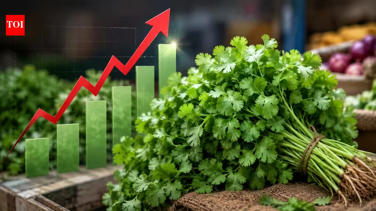 Your humble dhaniya is no longer free! Coriander prices rise above Rs 200 kg as heavy rains disrupt supply