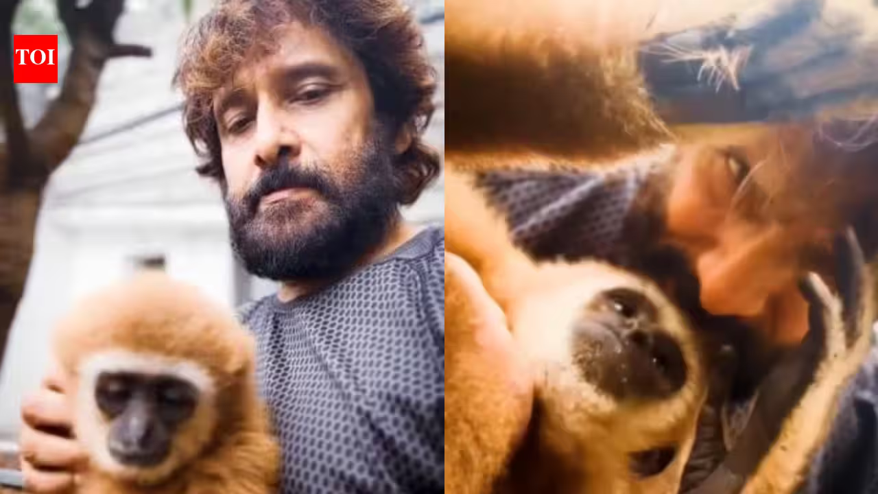 Vikram's Lar Gibbon controversy: Actor's connection explained as Forest Department investigation traces monkey to Erode resident