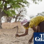 Spotlight on UN desertification summit as it mulls how to spend $12bn war chest | Desertification
