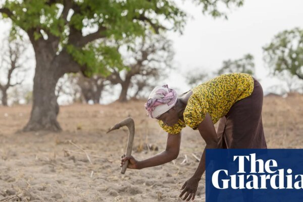 Spotlight on UN desertification summit as it mulls how to spend $12bn war chest | Desertification