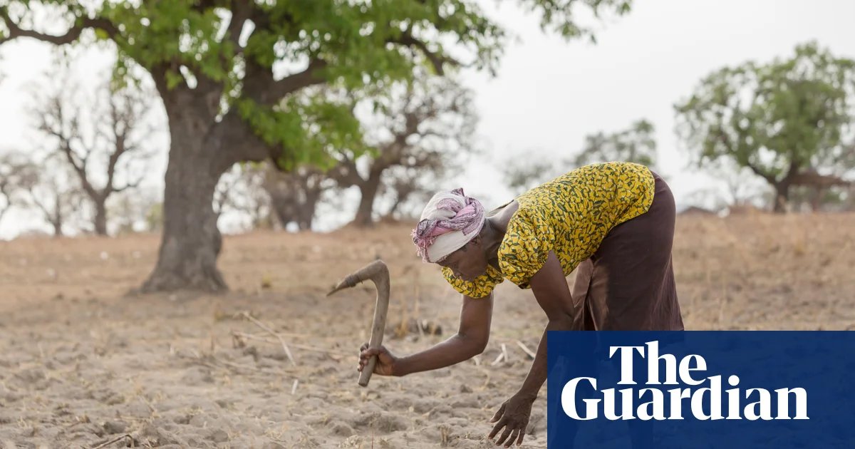 Spotlight on UN desertification summit as it mulls how to spend $12bn war chest | Desertification