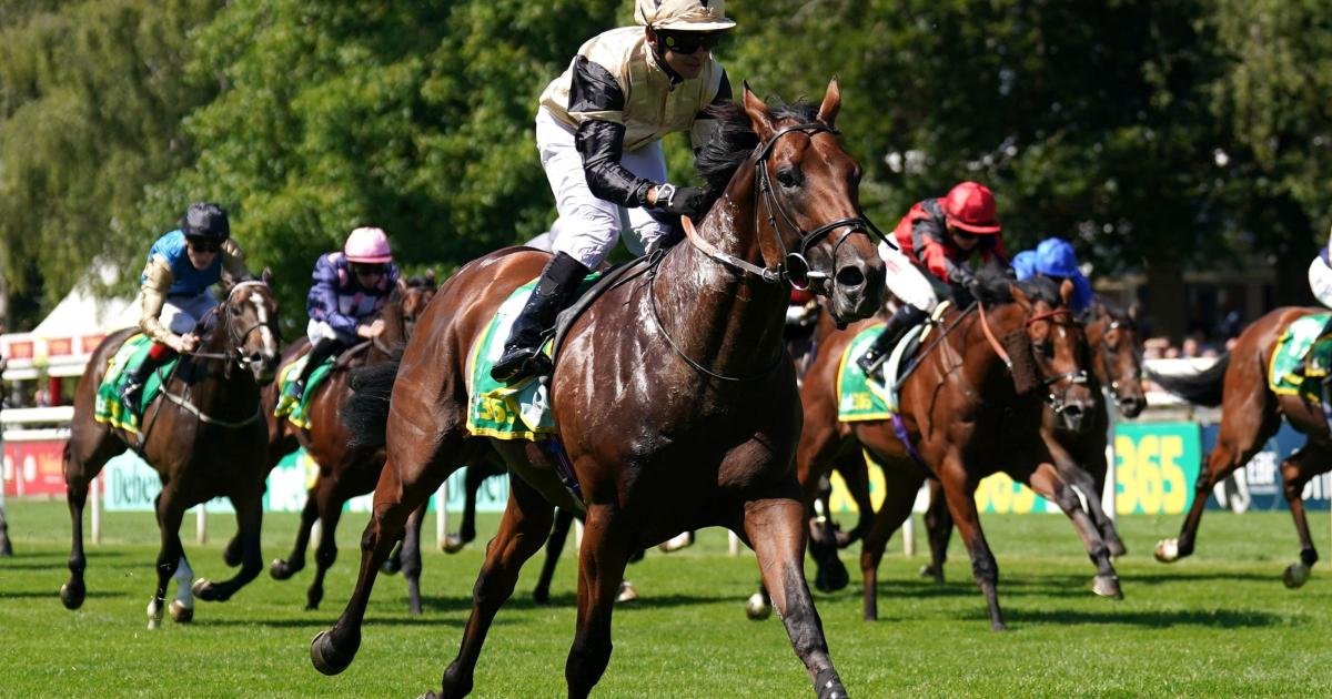 Prince Of India could have quick return to action