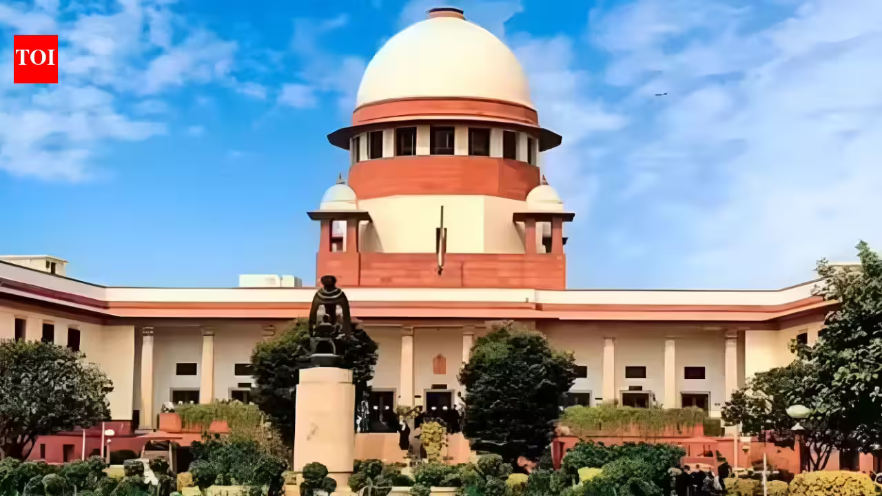 14 of 28 chief ministers face serious criminal cases, Supreme Court told | India News