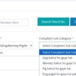 ‘Dog pagal ho gaya hai, pigs bahut ho gaye hai’: Jaipur Nagar Nigam’s complaint portal uses conversational Hindi to report shelterless animals; goes viral