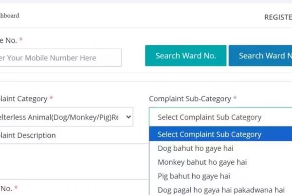 ‘Dog pagal ho gaya hai, pigs bahut ho gaye hai’: Jaipur Nagar Nigam’s complaint portal uses conversational Hindi to report shelterless animals; goes viral