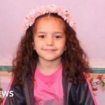 Israeli army orders criminal investigation into killing of Palestinian girl Hind Rajab in Gaza