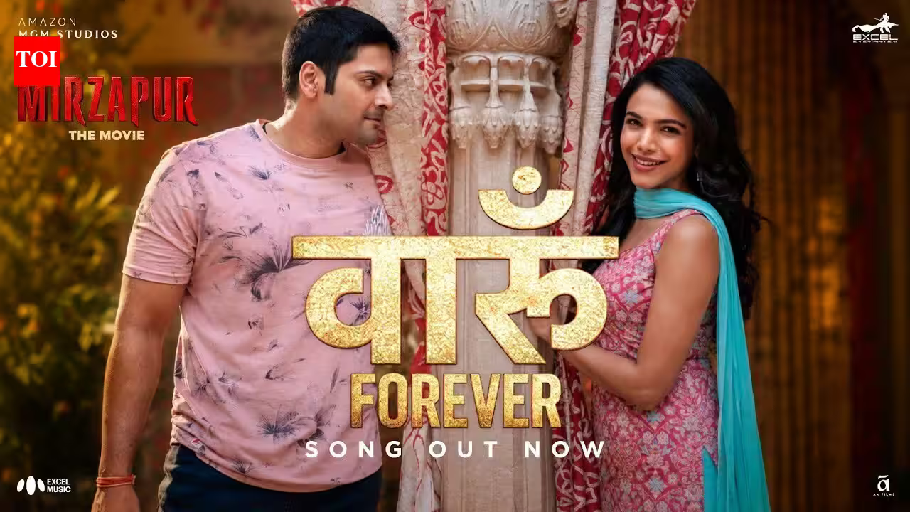 Mirzapur The Movie
