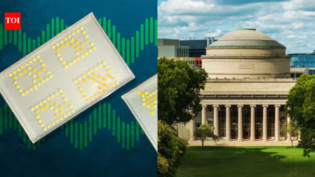 MIT engineers turn living bacteria into circuit boards that can perform computer-like calculations