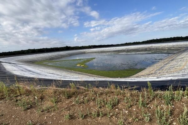 Environment Agency says rain not enough to end drought in Norfolk