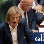Liberal plan to split Victorian appeals court attacked as ‘thought bubble’ that would politicise judiciary | Victorian politics