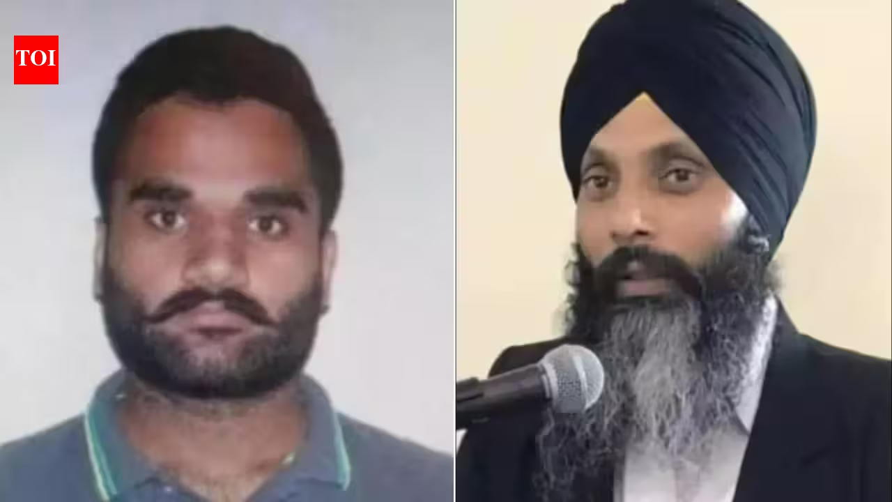 'Killed Nijjar for drug trafficking': Goldy Brar in leaked audio | India News