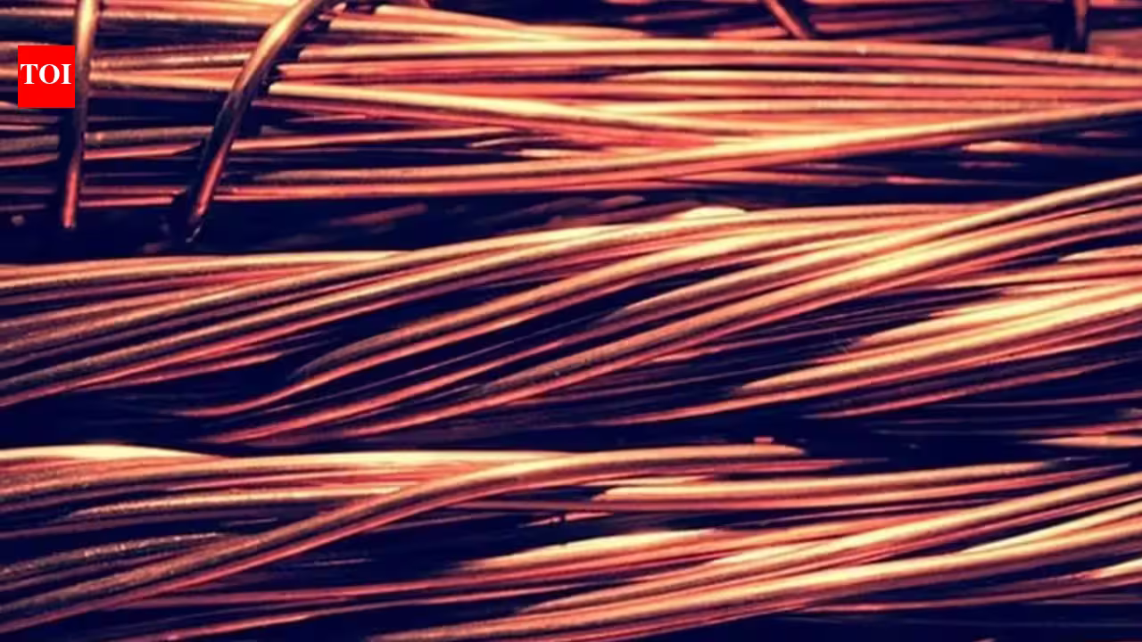 Government eyes 3000 crore by selling 6% in Hindustan Copper
