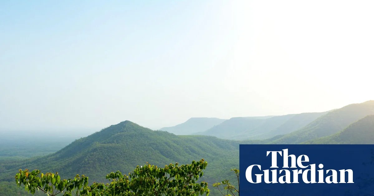 The whitewashing of the Green India Mission forest expansion initiative | World news