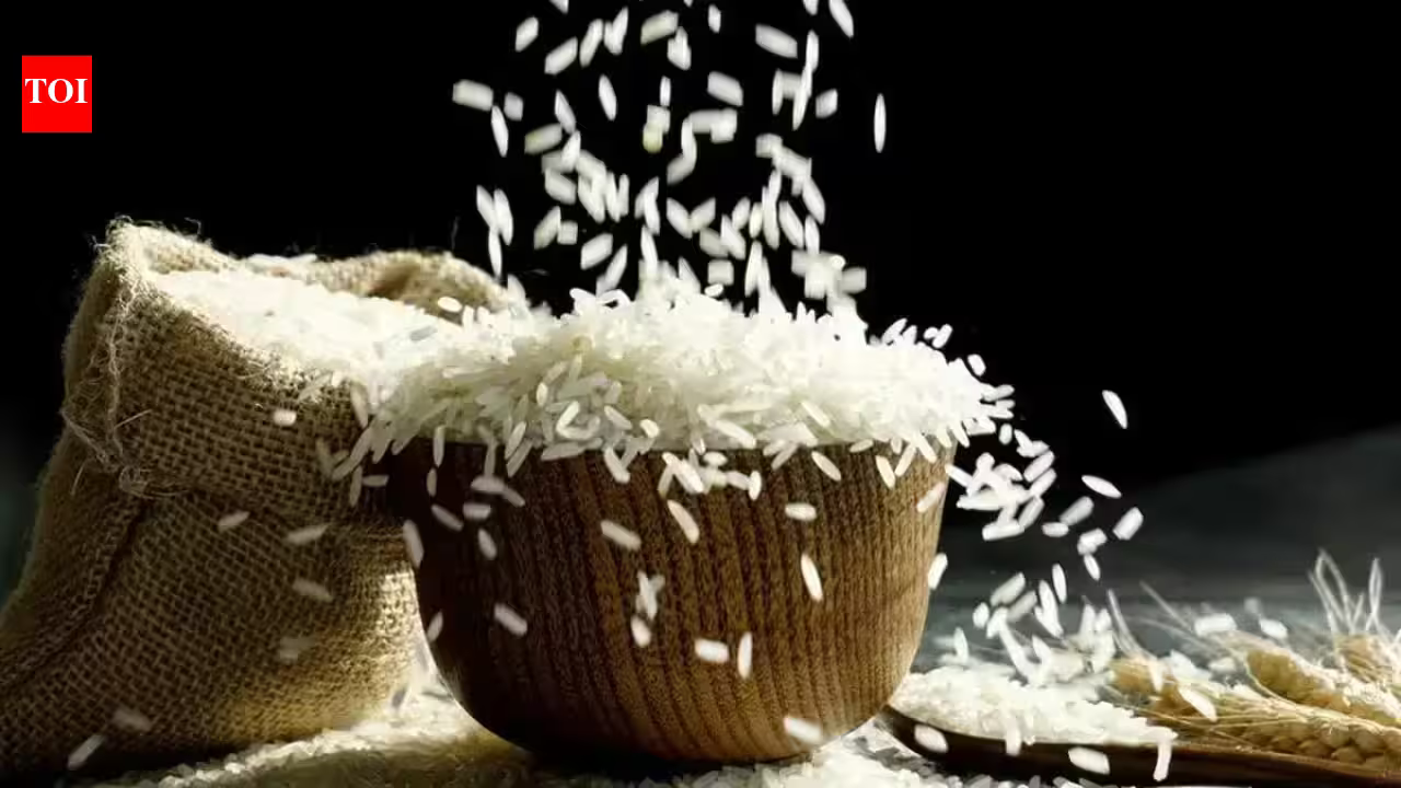 India Rice Exports: Why India’s rice exports to Iran may survive Donald Trump's sanctions threat