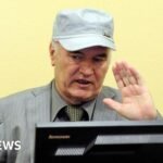Convicted Bosnian Serb war criminal Mladić dies aged 84