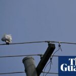 A new energy scheme gives Australians three hours of free power a day – but there could be an expensive catch | Renewable energy