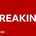 Jewish ambulance attack: Four plead guilty