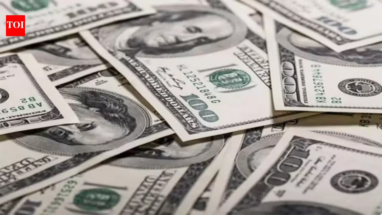India Foreign Exchange Reserves: India's forex reserves hit all-time high of $729.33 billion after $12.42 billion jump