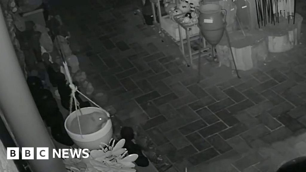 Hedgehog's overnight antics caught on Swanage gift shop's CCTV