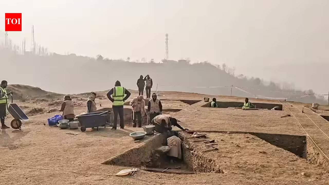 Second excavation phase at Kashmir Buddhist site starts today | India News
