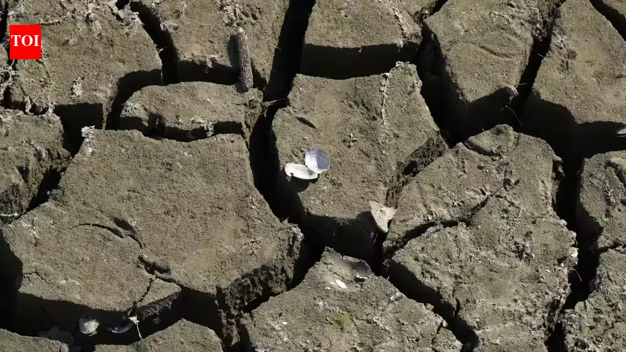 England’s water network buckles under sudden summer drought
