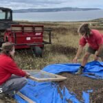 Cornwall's environmental champions make their communities greener
