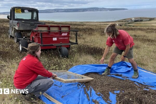 Cornwall's environmental champions make their communities greener