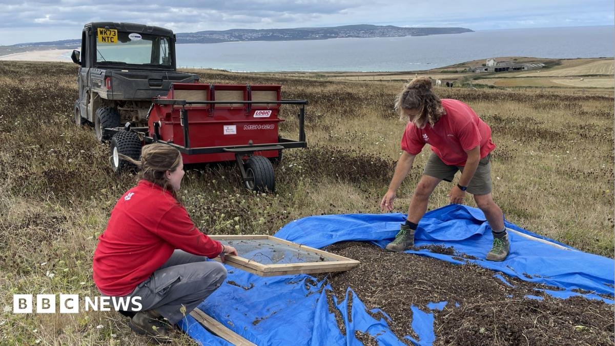 Cornwall's environmental champions make their communities greener