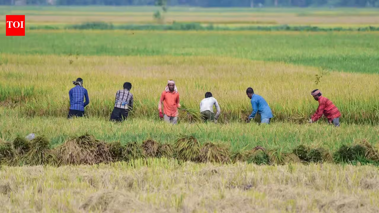 August rainfall fails to reduce India's monsoon deficit | India News