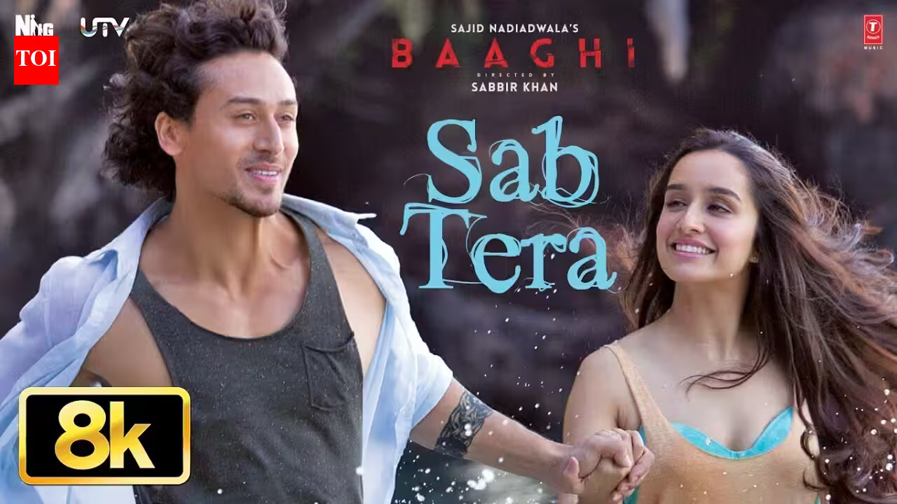 Baaghi
